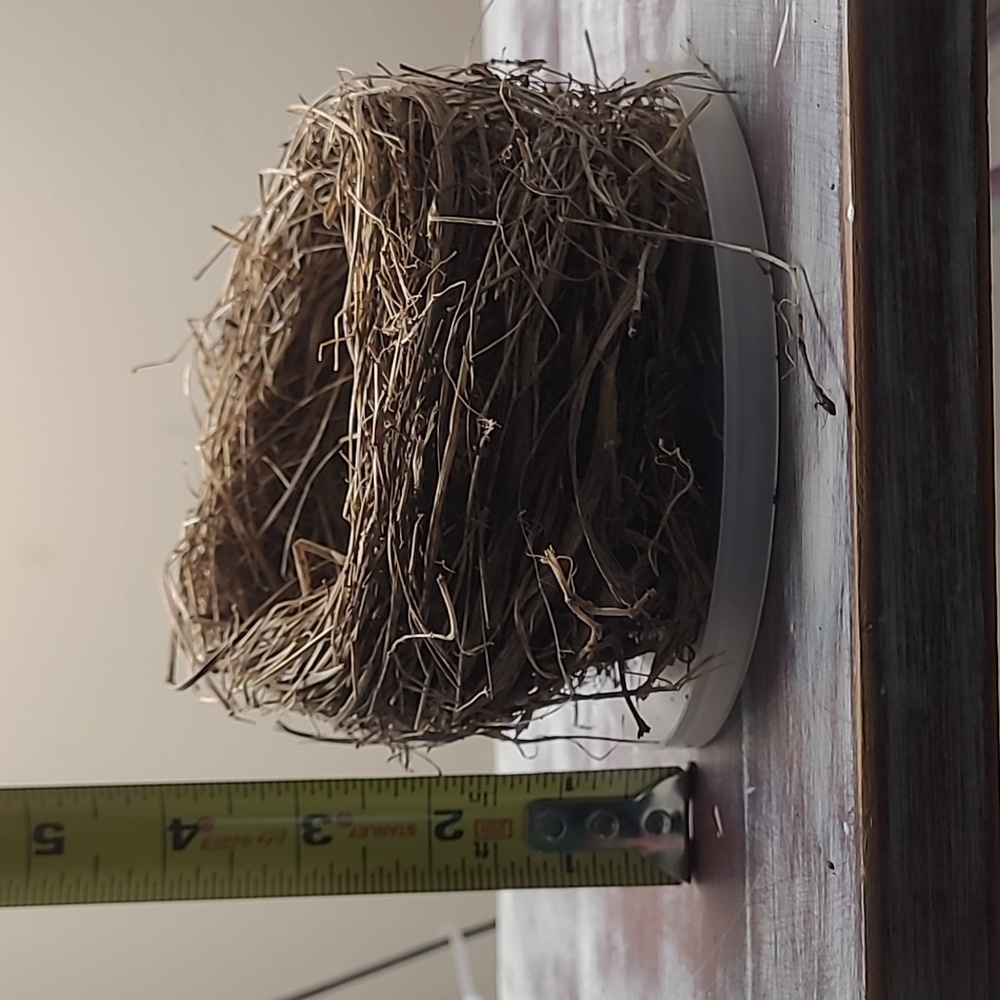 Natural Bird Nest Decor, "Put A Bird On It". - Picture 3 of 4